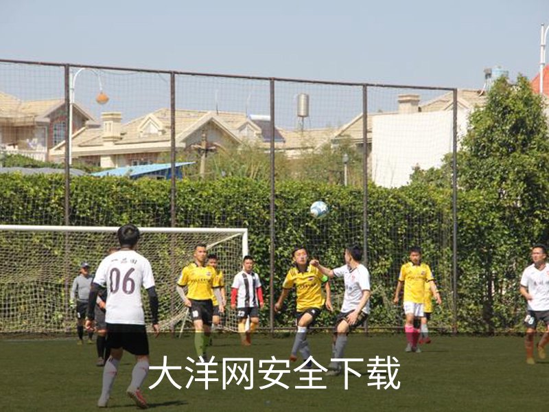 大洋网安全下载简介